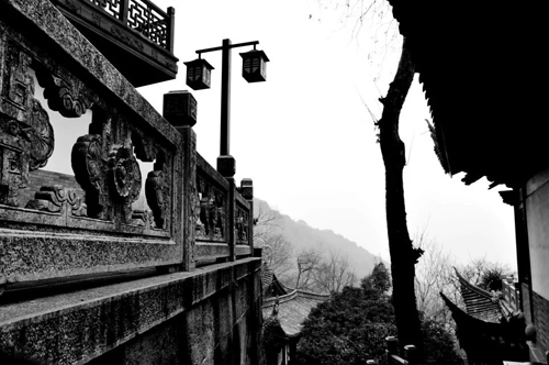 1571103104919401.jpg 179.jpg