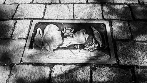 1571103190532220.png 182.png