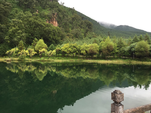 1571104224573804.jpg 200.JPG