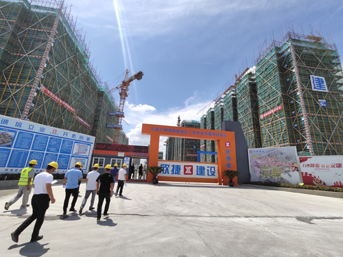 1571189685134384.jpg 36.jpg