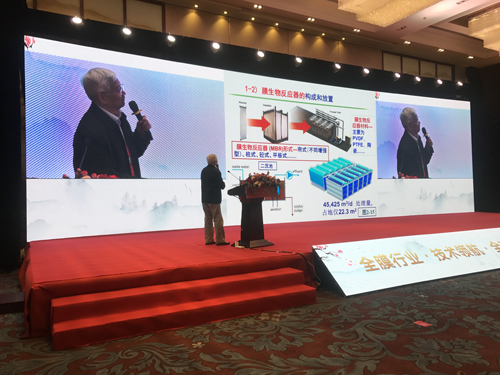 1571191318716537.jpg 49.jpg