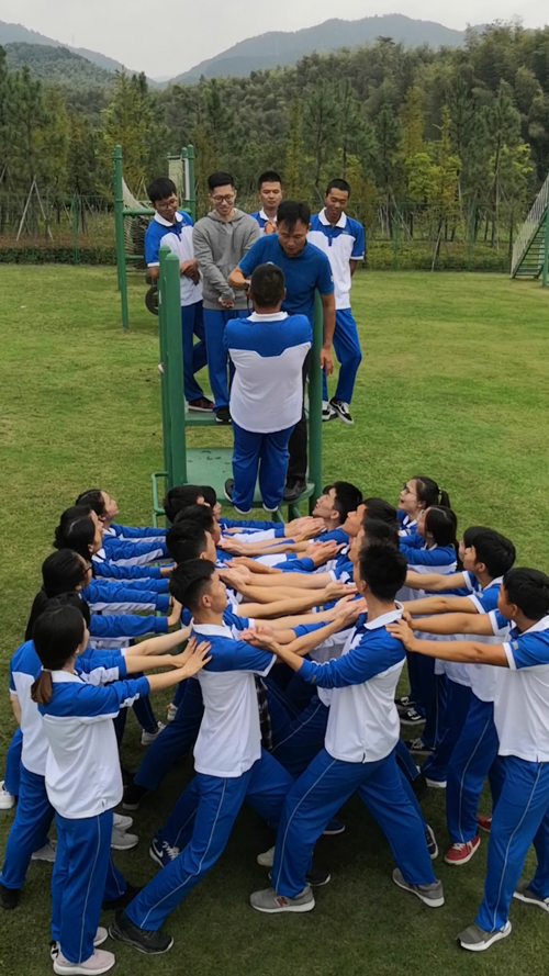 1575942029605428.jpg 1.jpg