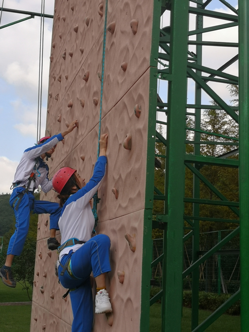 1575942150563202.jpg 2.jpg