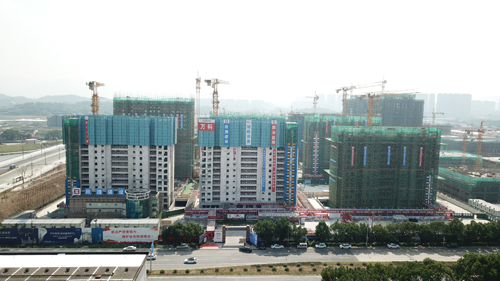 1575943083499575.jpg 1.jpg