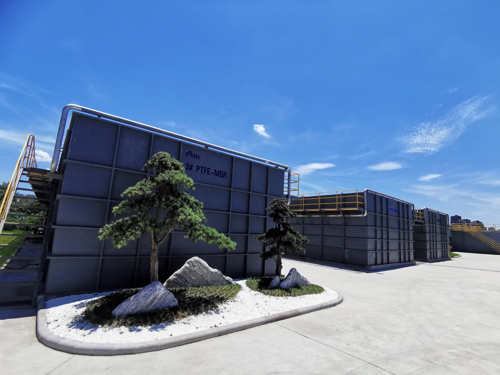 1599272500702064.jpg 1.jpg