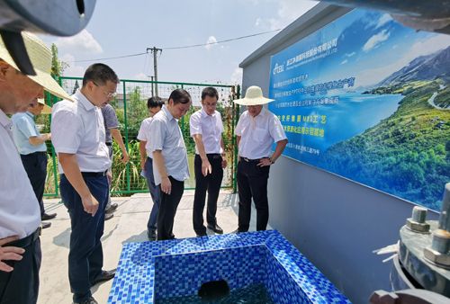 1599272565700568.jpg 3.jpg