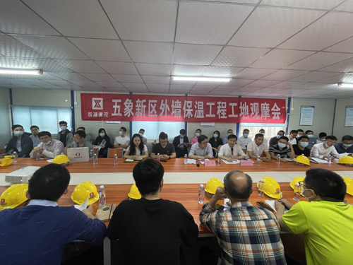 01五象新區(qū)建築工(gōng)程綠(lǜ)建節能(néng)務虛工(gōng)作(zuò)會(huì)議(yì)暨外(wài)牆保溫現(xiàn)場(chǎng)觀摩會(huì).jpg