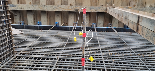 1648021926302421.jpg 圖片 5.jpg