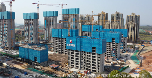 1651103890252043.jpg 3.jpg