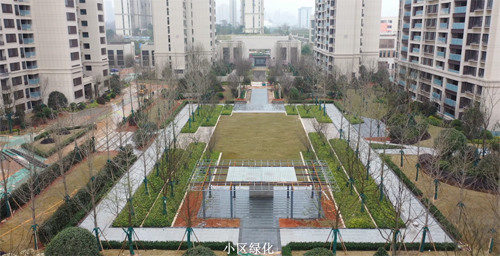 1651103919432520.jpg 4.jpg