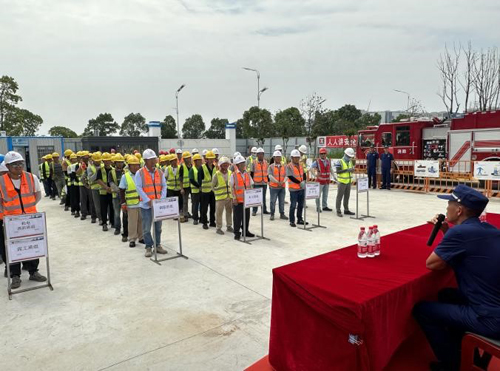 1687678023903748.jpg 8.jpg